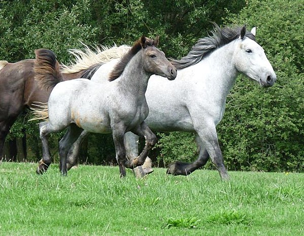 2e896e7cae264c7a77edb3a0f10571aa